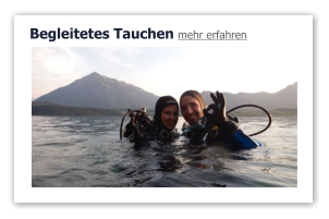 Begleitetes Tauchen mehr erfahren